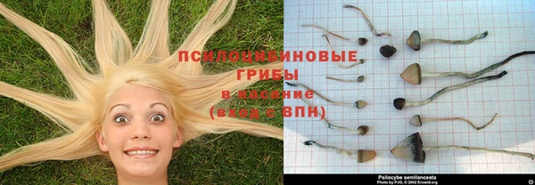 кокаин VHQ Белокуриха