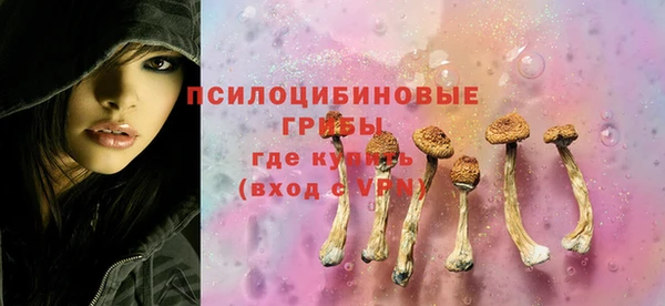 тгк Беломорск