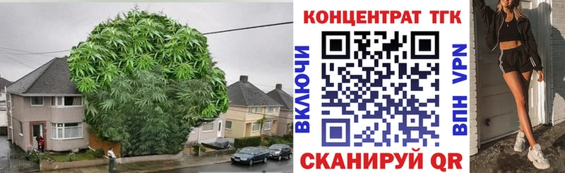 где можно купить наркотик  Михайлов  Дистиллят ТГК вейп 